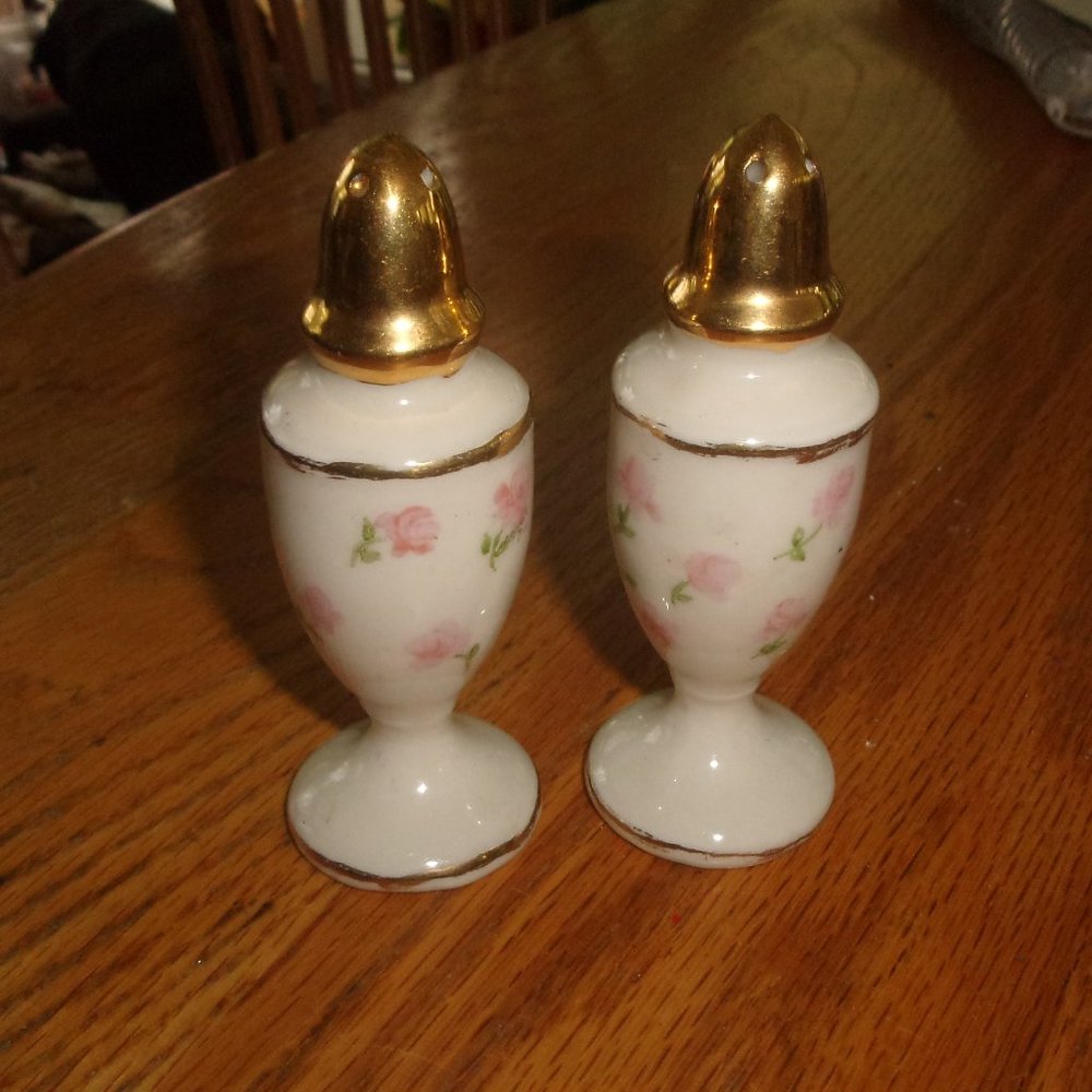 Salt pepper shakers set hand painted pink roses